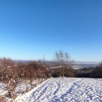 1757_8675260237.jpg